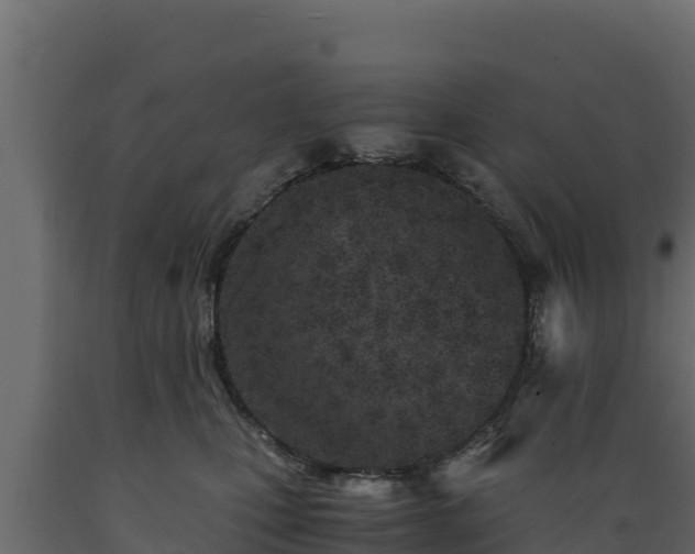 X0000089930471200707061043