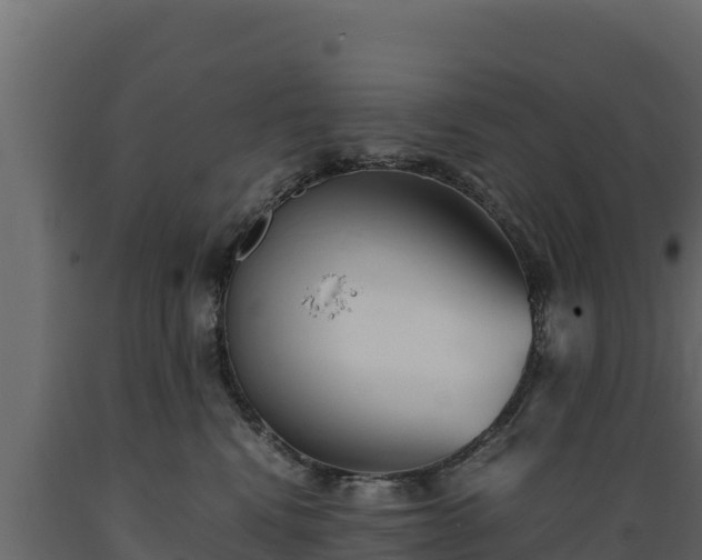 X0000089930472200707061043