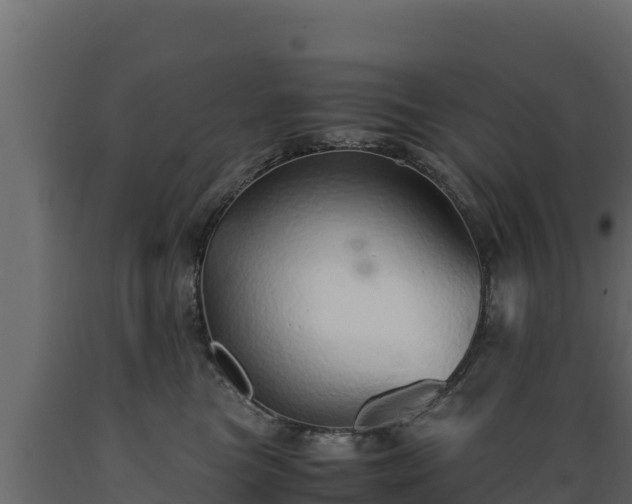 X0000089930473200707061043