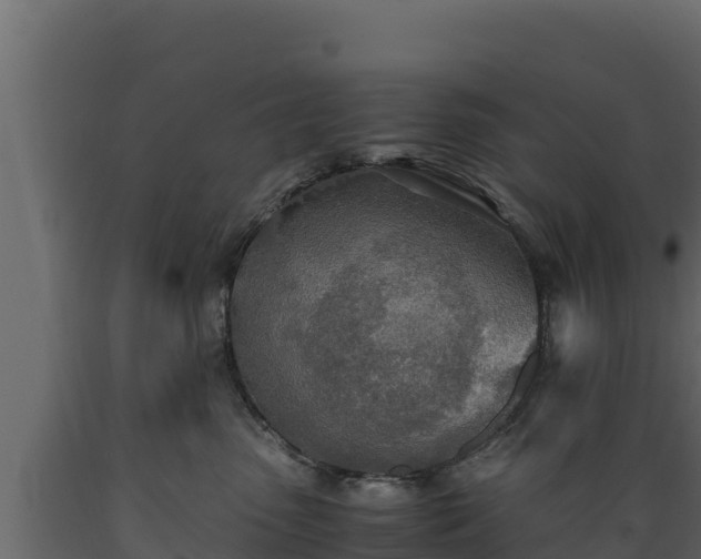 X0000089930475200707061043