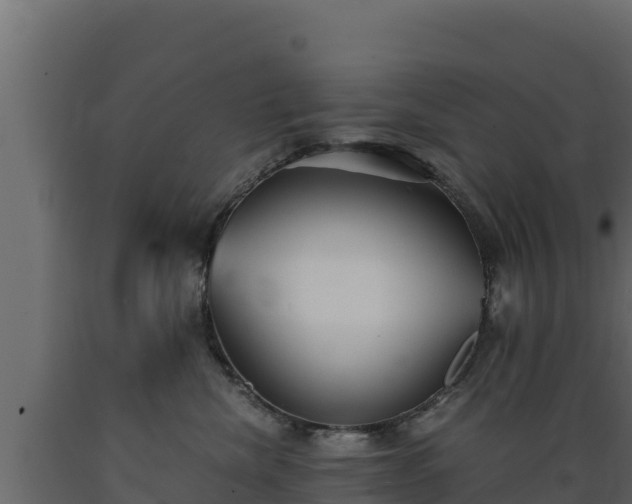 X0000089930476200707061043