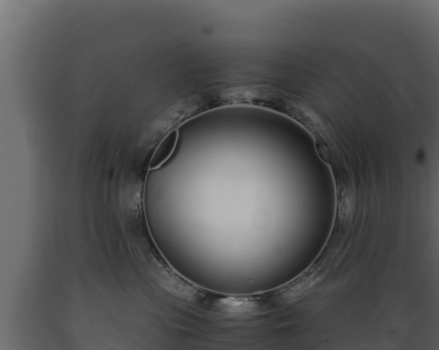 X0000089930477200707061043