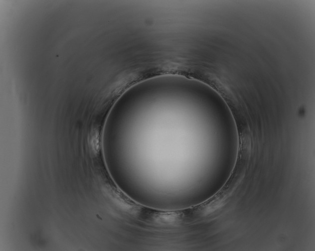 X0000089930479200707061043