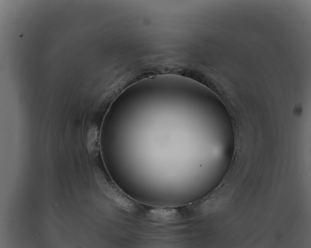 X0000089930480200707061043