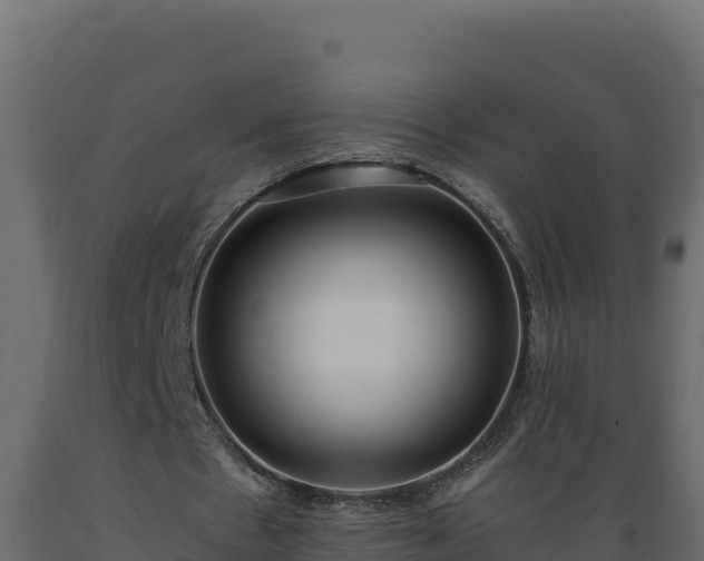 X0000089930481200707061042