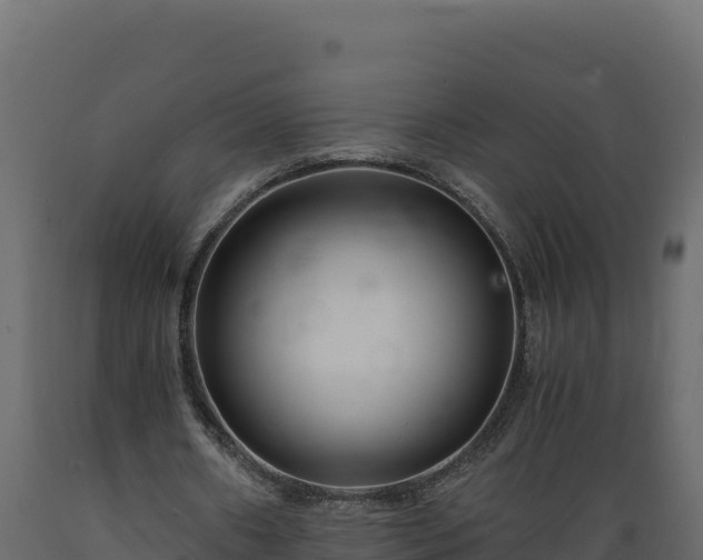 X0000089930482200707061042