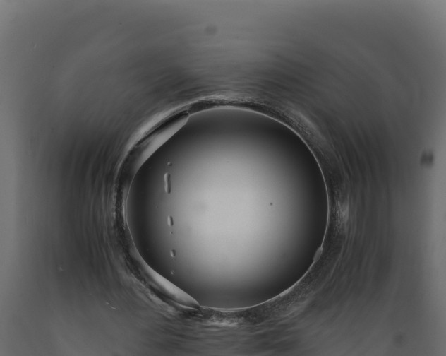 X0000089930484200707061042