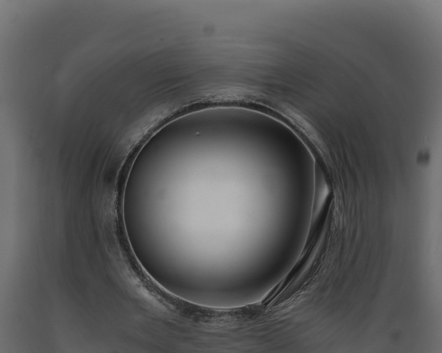 X0000089930485200707061042