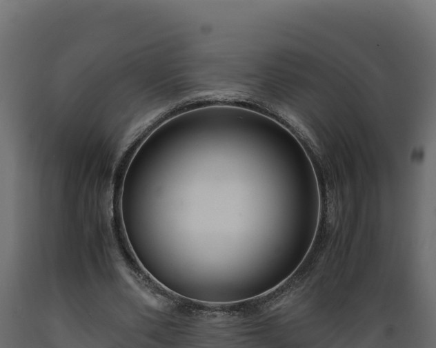 X0000089930486200707061042