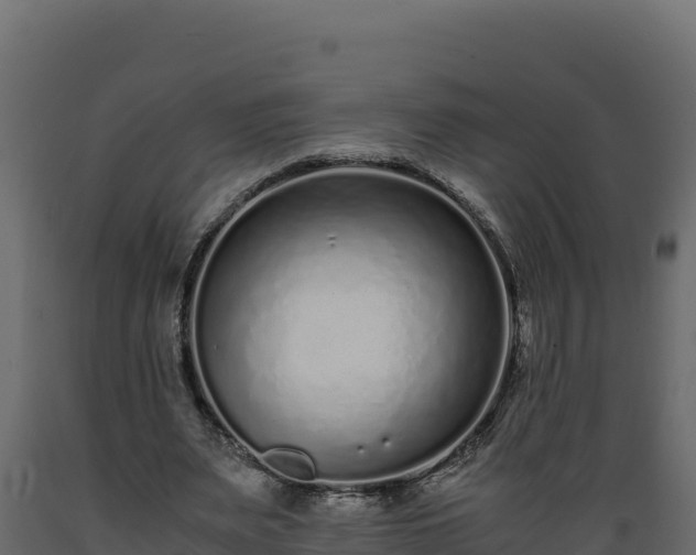 X0000089930487200707061042