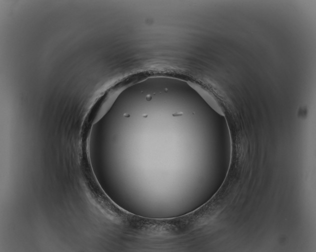 X0000089930488200707061042