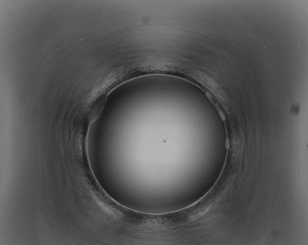 X0000089930489200707061042