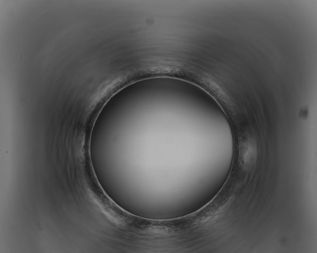 X0000089930490200707061042