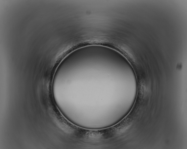 X0000089930491200707061042