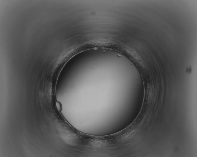 X0000089930494200707061042