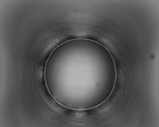 X0000089930495200707061042