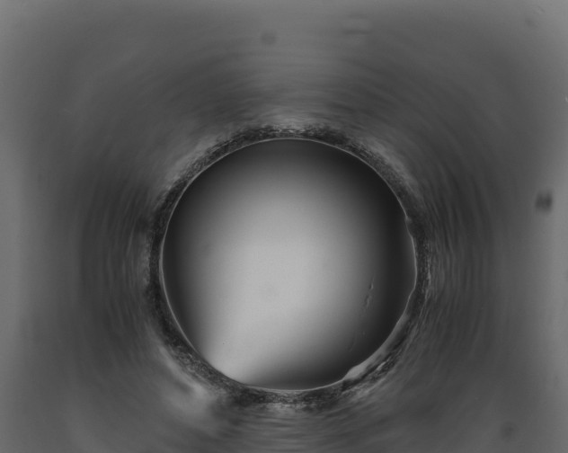 X0000089930496200707061042