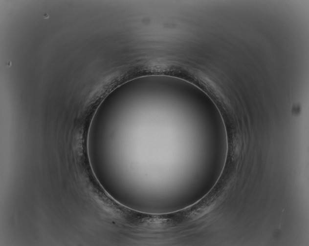 X0000089930497200707061042