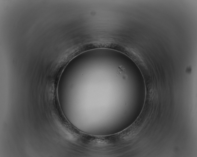 X0000089930498200707061042