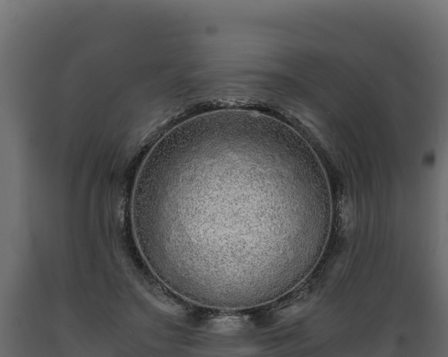 X0000089930499200707061042