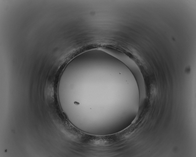 X0000089930500200707061042