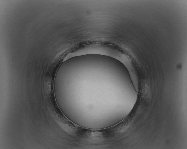 X0000089930501200707061042