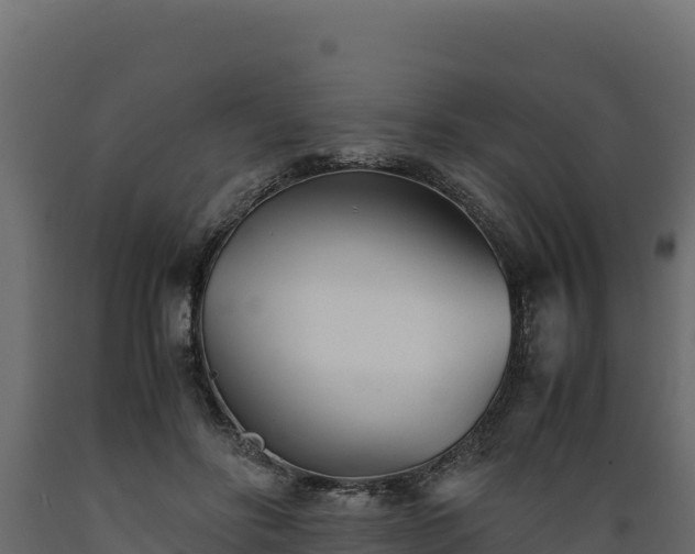 X0000089930502200707061042