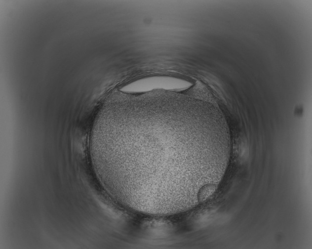 X0000089930503200707061042