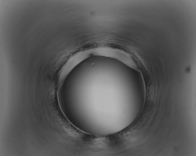 X0000089930505200707061042