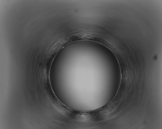 X0000089930506200707061042