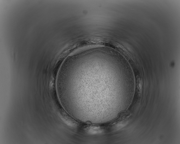 X0000089930507200707061042