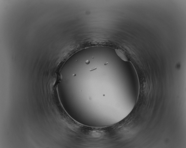 X0000089930508200707061042