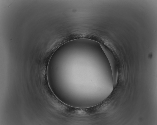 X0000089930509200707061042