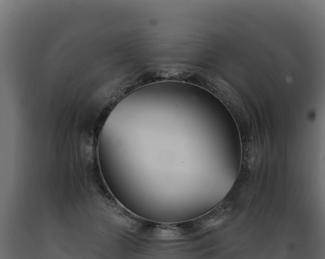 X0000089930510200707061042