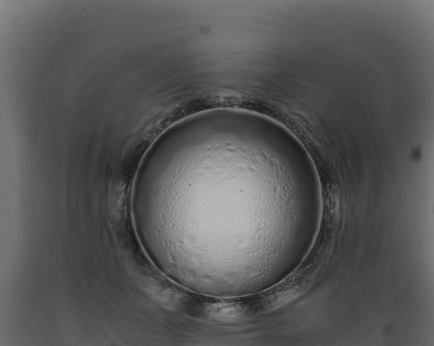 X0000089930511200707061042