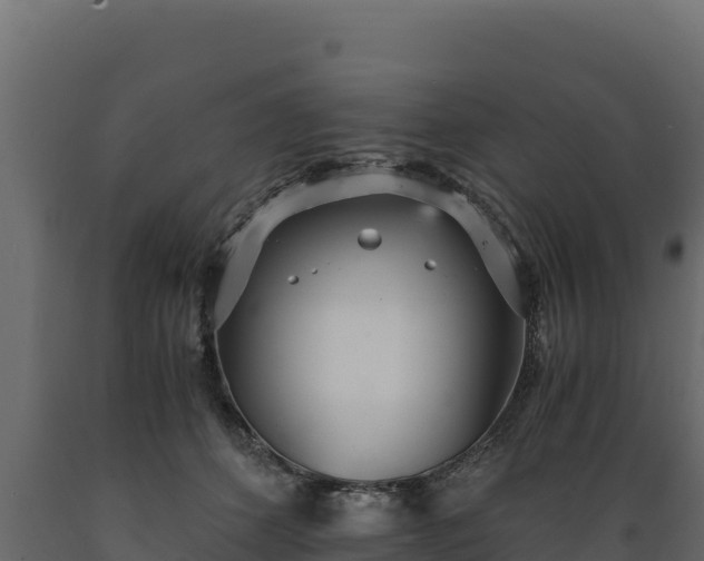 X0000089930512200707061042