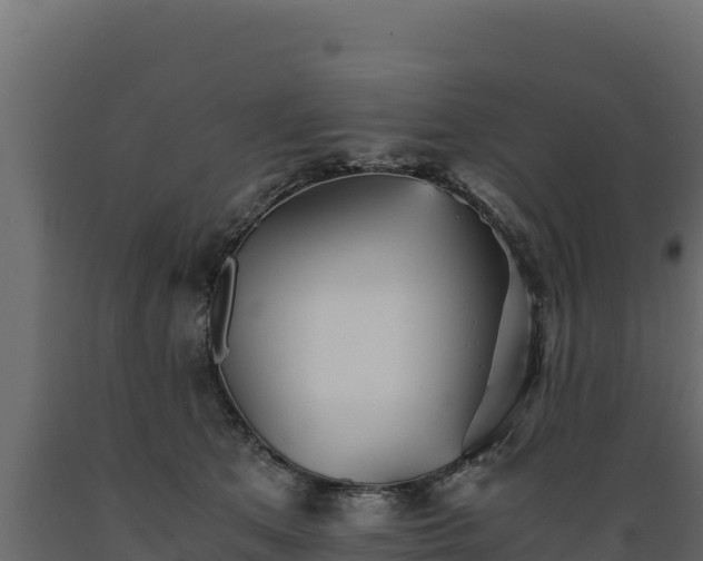 X0000089930513200707061042