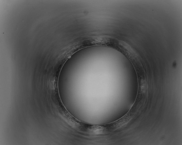 X0000089930514200707061042