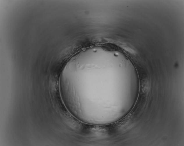 X0000089930515200707061042