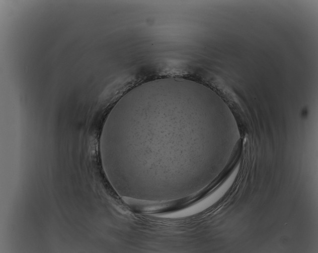 X0000089930517200707061042