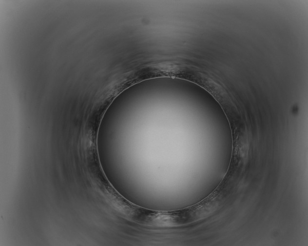 X0000089930518200707061042