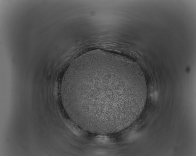 X0000089930519200707061042