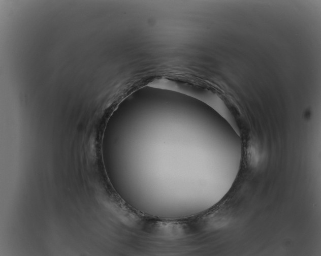 X0000089930520200707061042