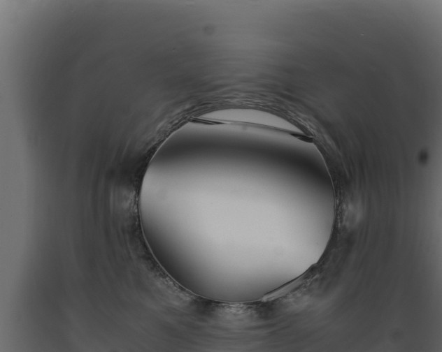 X0000089930521200707061042