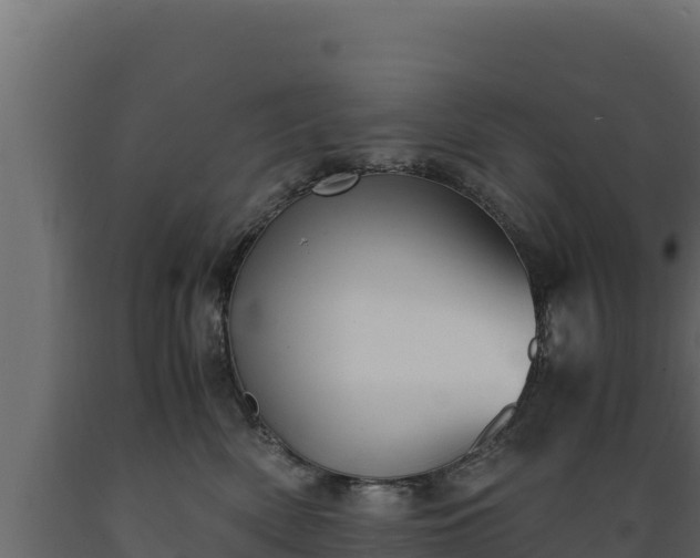 X0000089930522200707061042