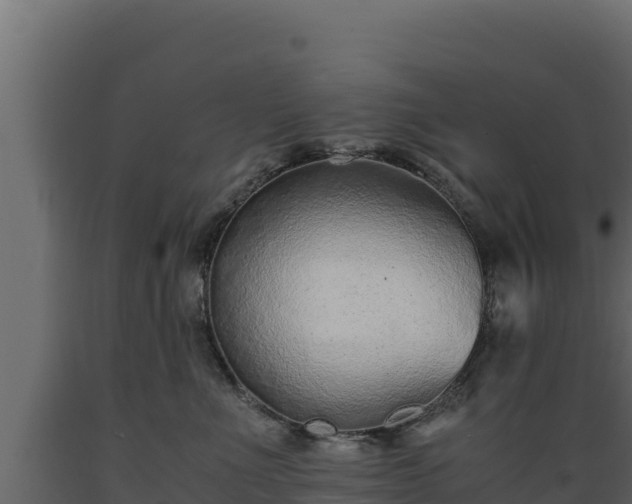 X0000089930523200707061042