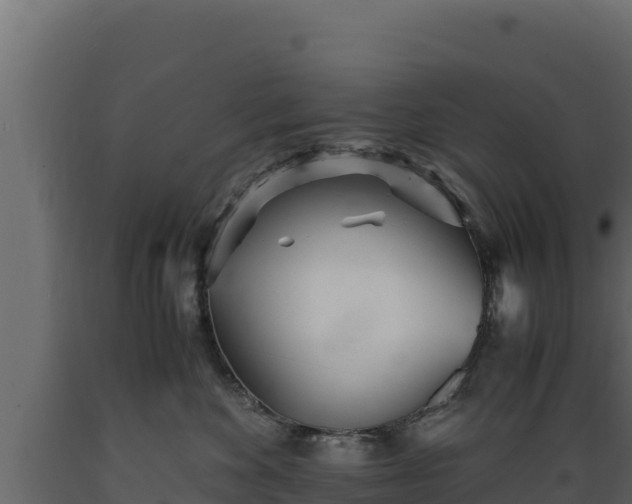 X0000089930524200707061042