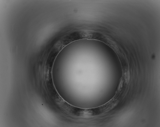 X0000089930525200707061042