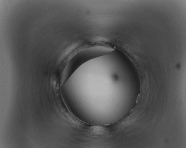 X0000089930528200707061042