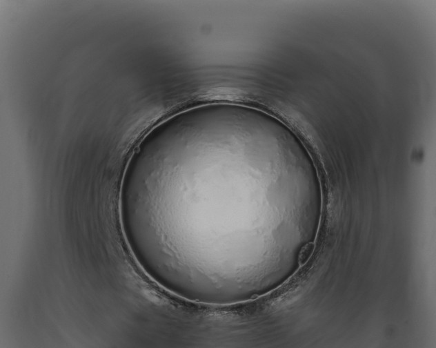 X0000089930529200707061041